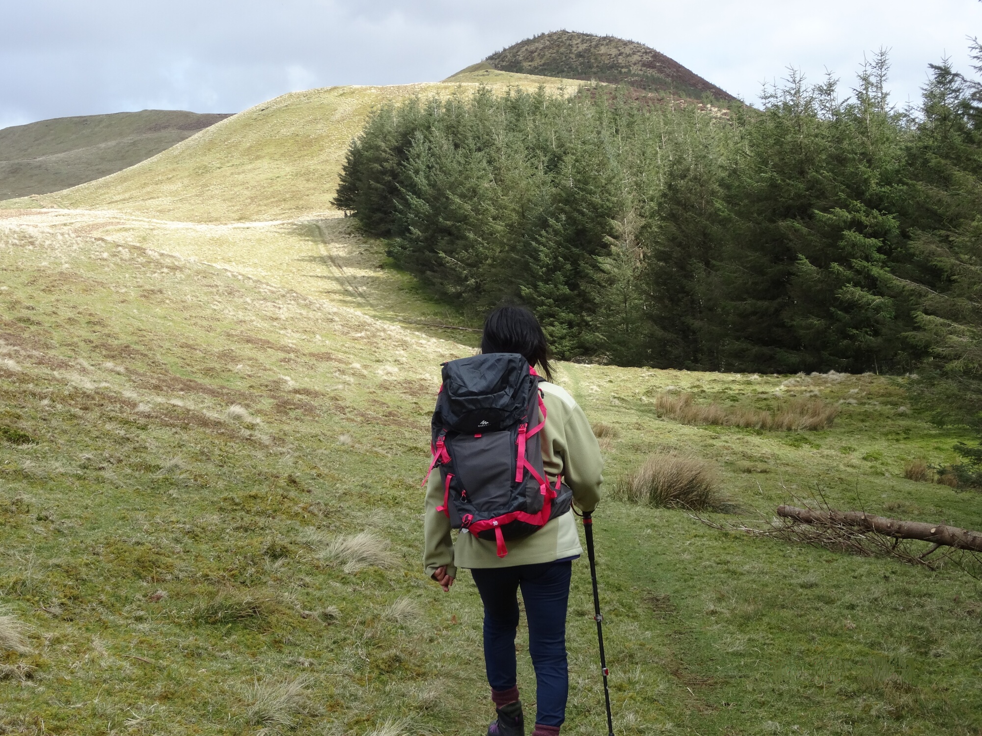 RachelSeabrook.net | Wild Walking | Ponterwyd and Pen Dihewyd | pic21